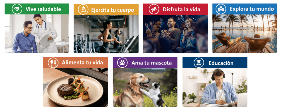 descubre nuestras alianzas