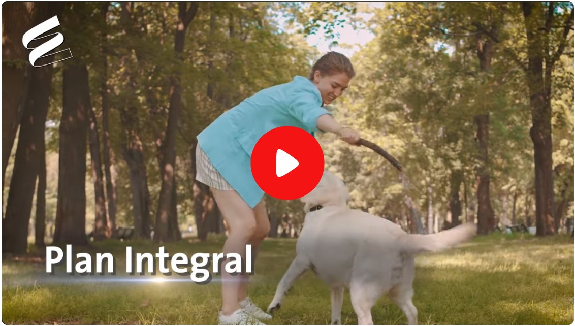 FinalVideo-plan-integral